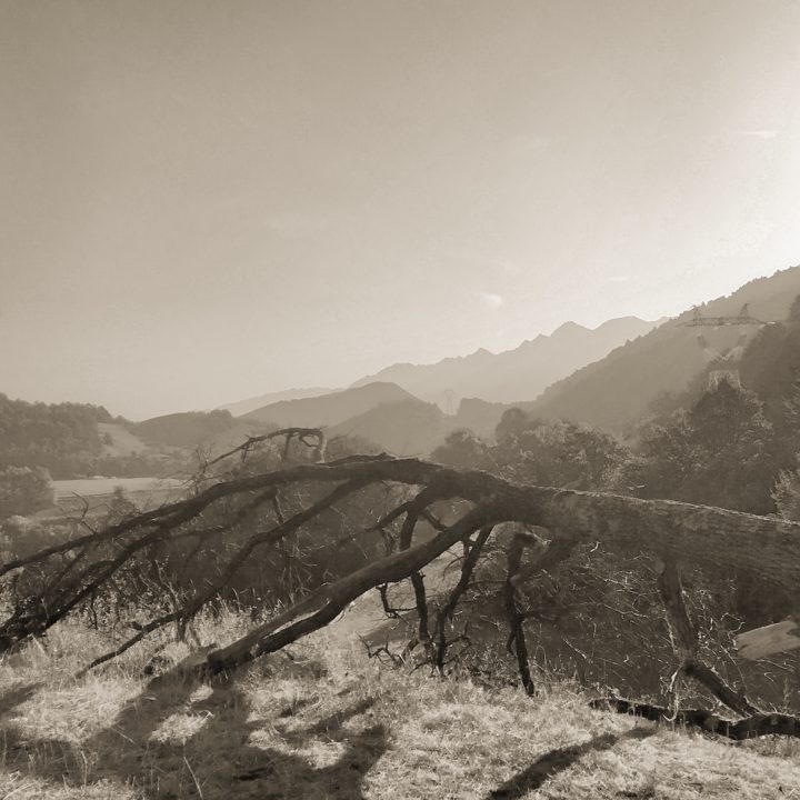 L’inquiétant chant du silence